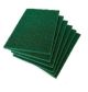 Scotch Brite Green Pad Big